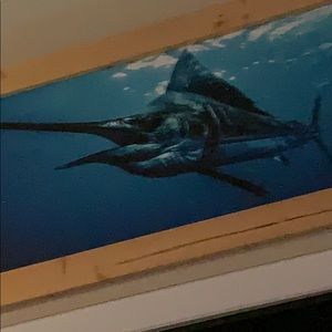 Meet your Posher, Ian